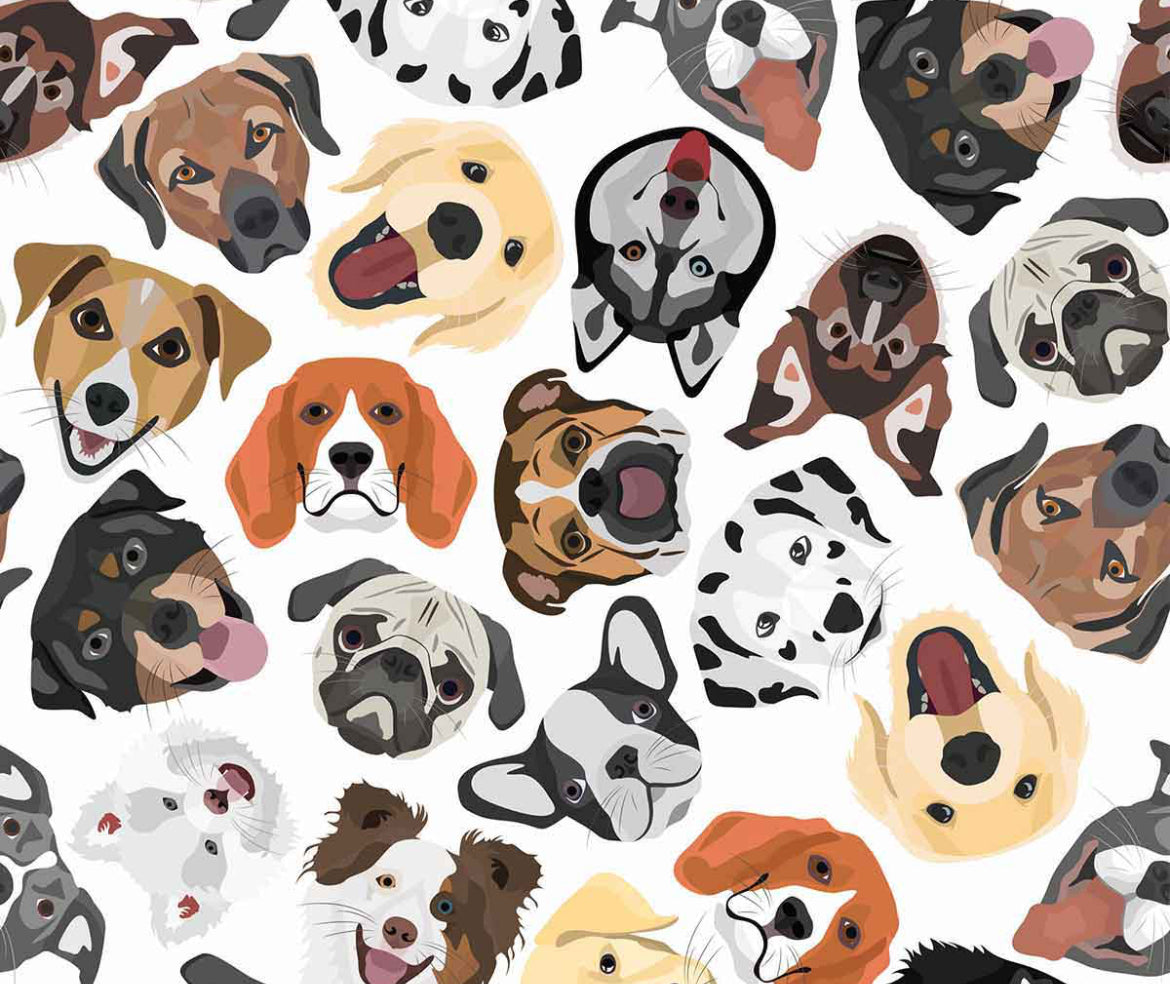 Operation Safe Paws: 101 Raleigh Rescued Pups