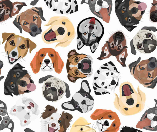 Operation Safe Paws: 101 Raleigh Rescued Pups