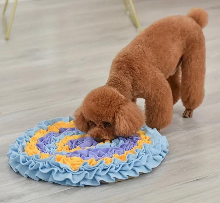 Enrichment Toys