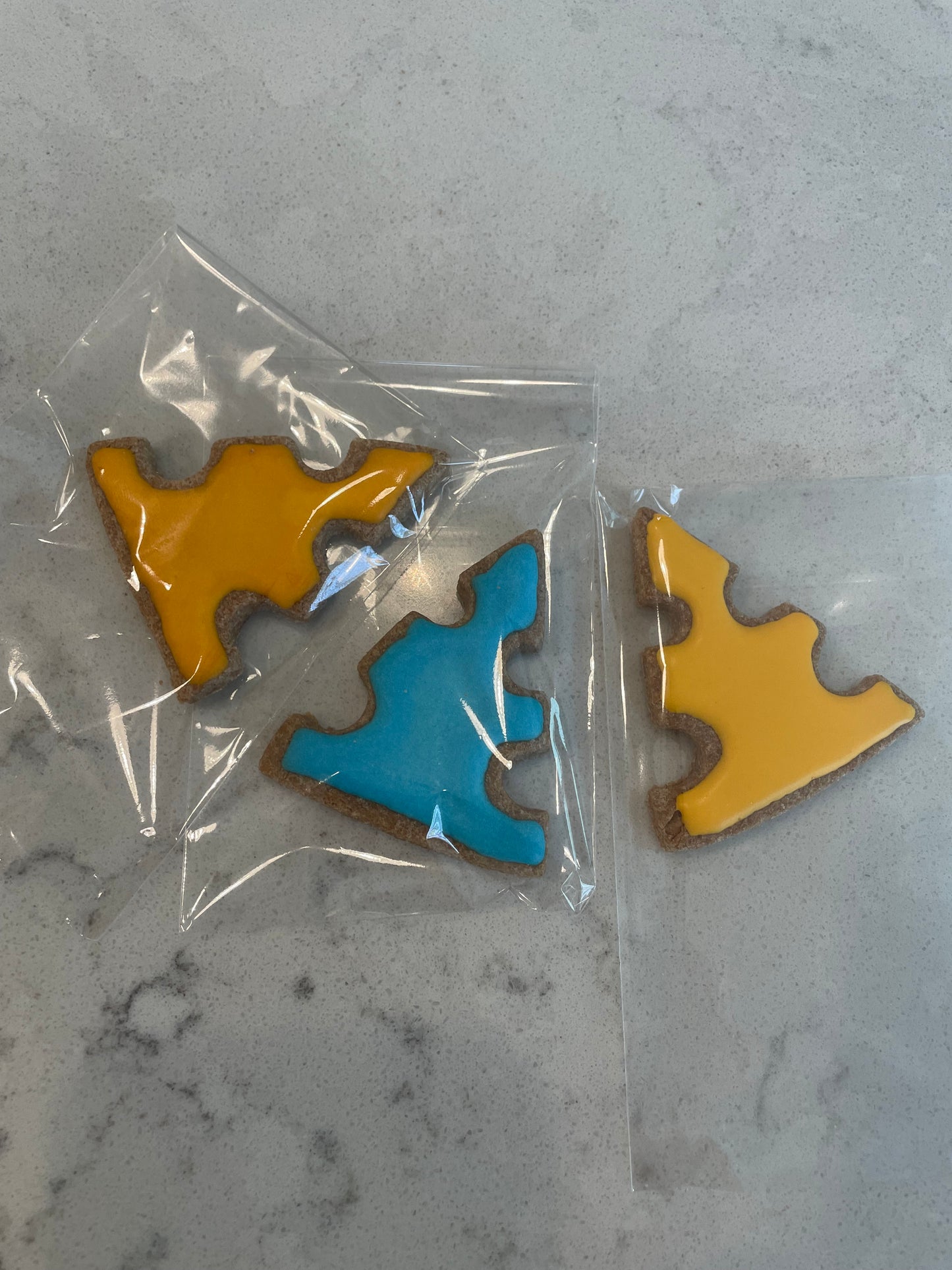 Pup Snacks- Iced Individual Treat (Decorated)